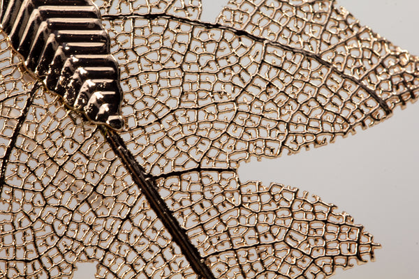 PentagonMapleShaped Earrings