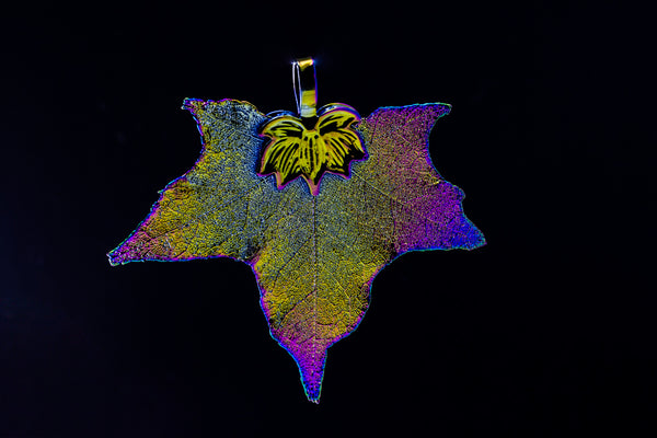 CanadianSugarMapleLeaf Aurora Pendant