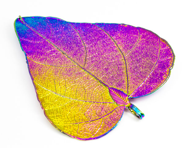 CeropegiaWoodiiLeaf Aurora Pendant