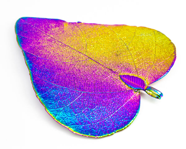 CeropegiaWoodiiLeaf Aurora Pendant