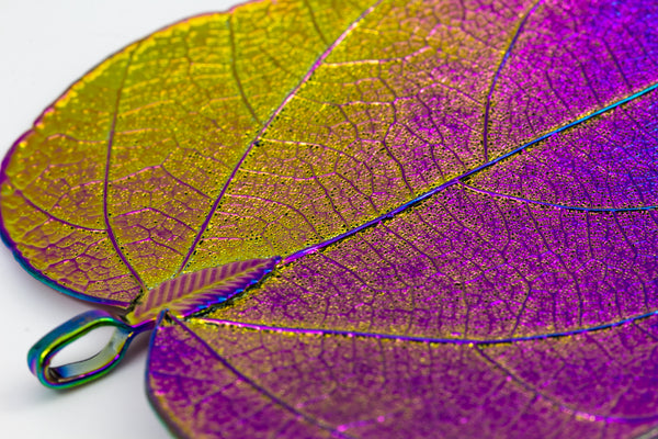 CeropegiaWoodiiLeaf Aurora Pendant
