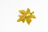 products/SA0104100140108-Earrings-PentagonMapleShaped-SGold-S-KingKongLeaf-EarHook-02.jpg