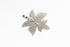 products/SA0104100240108-Earrings-PentagonMapleShaped-SPlatinum-S-KingKongLeaf-EarHook-02.jpg