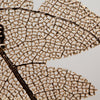 PentagonMapleShaped Earrings