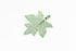 products/SA0104100640108-Earrings-PentagonMapleShaped-SGreen-S-KingKongLeaf-EarHook-02.jpg