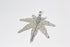 products/SA0106100240108-Earrings-HeptagonMapleShaped-SPlatinum-S-KingKongLeaf-EarHook-02.jpg
