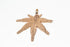 products/SA0106100340108-Earrings-HeptagonMapleShaped-SRoseGold-S-KingKongLeaf-EarHook-02.jpg
