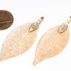 FishShaped Earrings