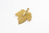 products/SA0117100150108-Earrings-PhoenixTreeLeafShaped-SGold-XS-KingKongLeaf-EarHook-10.jpg