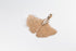 products/SA0124100350108-Earrings-GinkgoLeafShaped-SRoseGold-XS-KingKongLeaf-EarHook-02.jpg