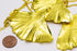 products/SA0200100120802-Necklaces-WholePieceLeaves-SGold-L-GinkgoLeaf-GoldenCurbChainS-05.jpg