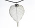 products/SA0200100221201-Necklaces-WholePieceLeaves-SPlatinum-L-FicusReligiosaLeaf-BlackLeatherCordS-00.jpg