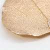 CeropegiaWoodiiLeaf Pendant