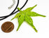 products/SA0200100630301-Necklaces-WholePieceLeaves-SGreen-M-JapaneseMapleLeaf-BlackLeatherCordS-01.jpg