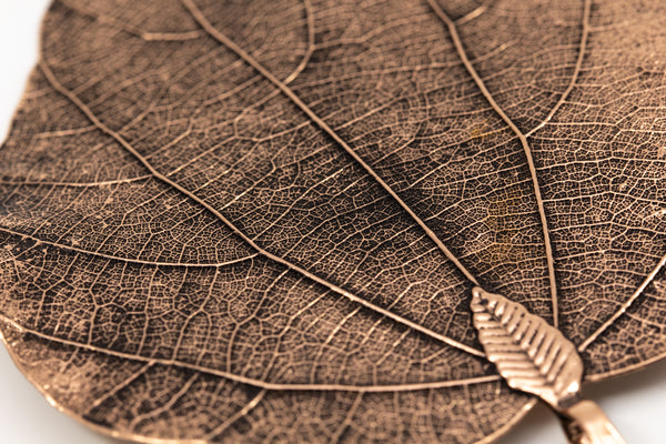 CeropegiaWoodiiLeaf Pendant