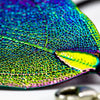KingKongLeaf Aurora Pendant