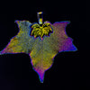 CanadianSugarMapleLeaf Aurora Pendant