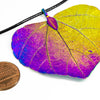 CeropegiaWoodiiLeaf Aurora Pendant