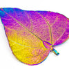 CeropegiaWoodiiLeaf Aurora Pendant