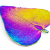 CeropegiaWoodiiLeaf Aurora Pendant