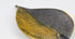 products/SA0200318120101-Necklaces-WholePieceLeaves-Black_Gold-L-KingKongLeaf-BlackLeatherCordS-03.jpg