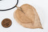 products/SA0298100330101-Necklaces-DoubleLeaves-SRoseGold-M-KingKongLeaf-BlackLeatherCordS-01.jpg